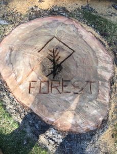 Forest Tree Service PTY LTD