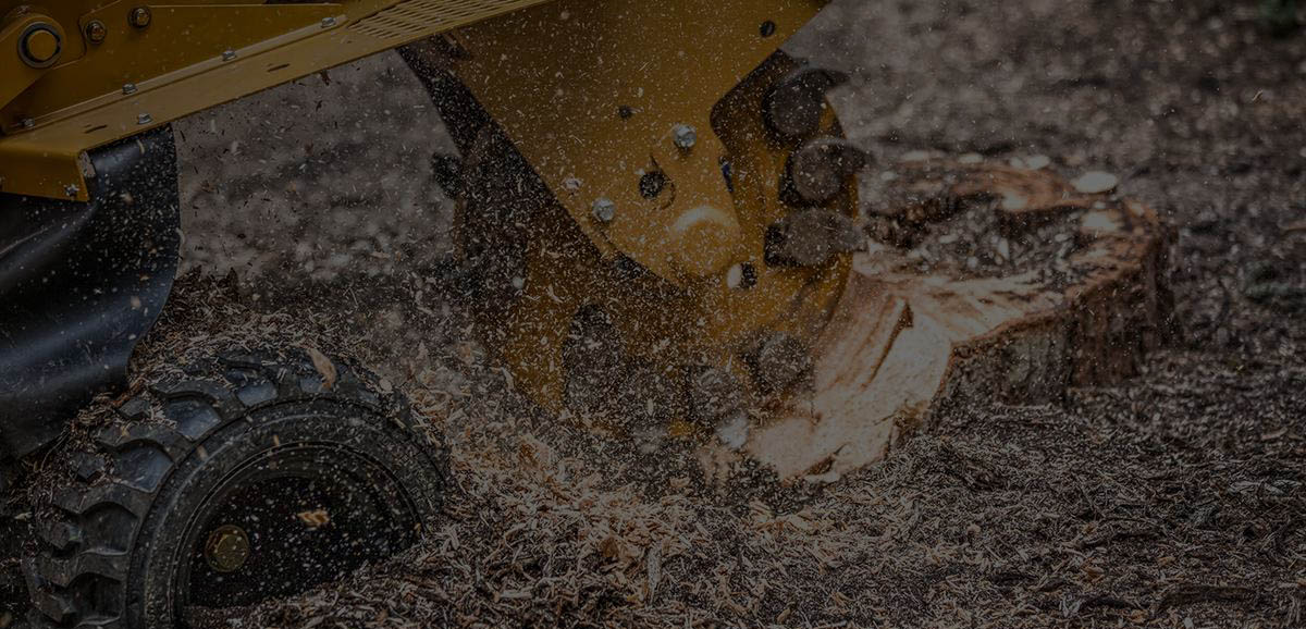Stump Grinding Northern Beaches Sydney